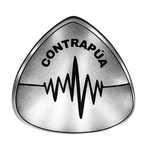 Pasión por la música